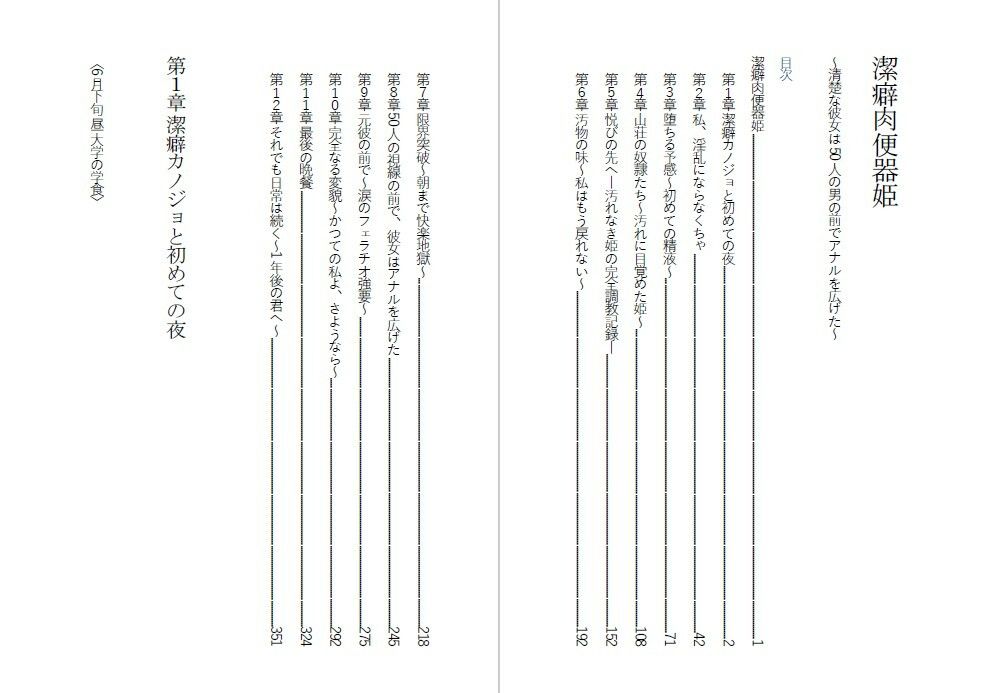 潔癖肉便器姫〜清楚な彼女は50人の男の前でアナルを広げた〜
