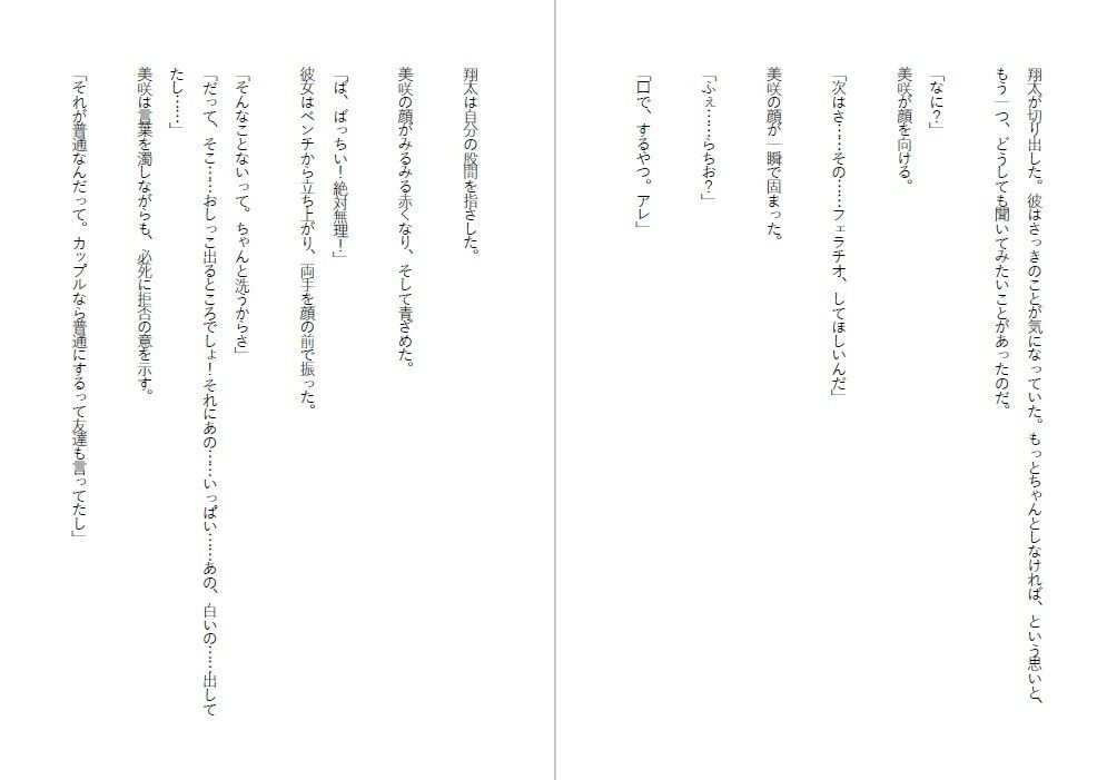 潔癖肉便器姫〜清楚な彼女は50人の男の前でアナルを広げた〜