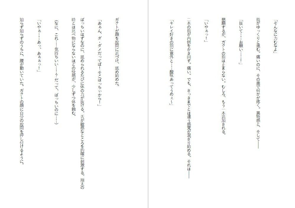 潔癖肉便器姫〜清楚な彼女は50人の男の前でアナルを広げた〜