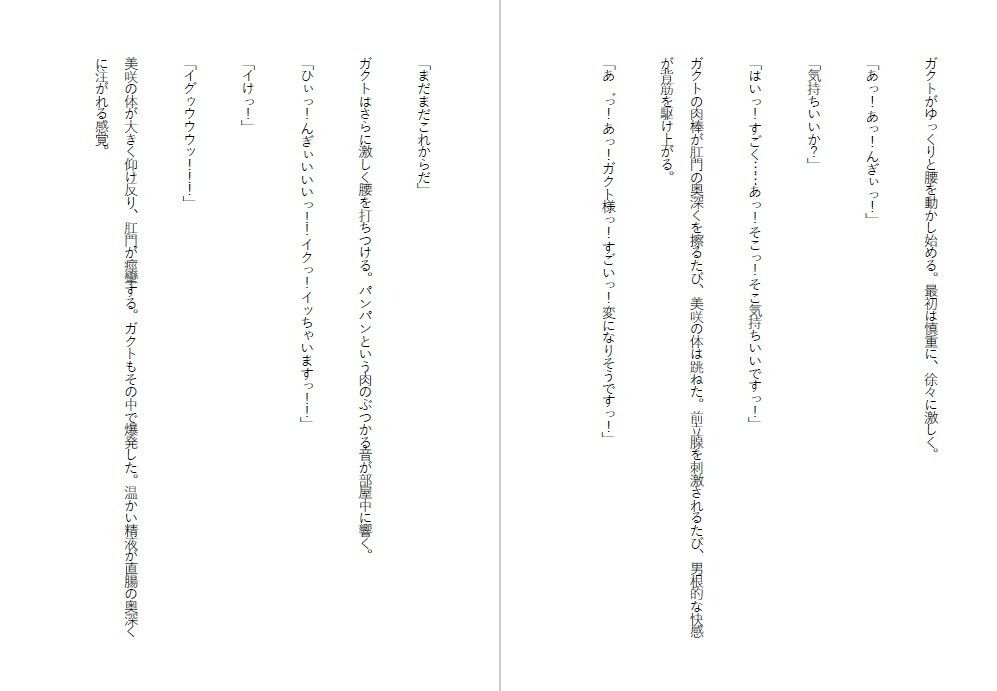 潔癖肉便器姫〜清楚な彼女は50人の男の前でアナルを広げた〜