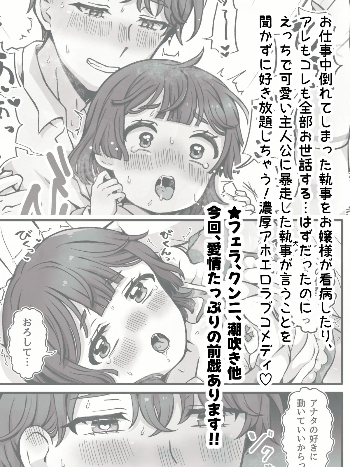 変態執事はお嬢様に首ったけ〜コスプレ看病編〜