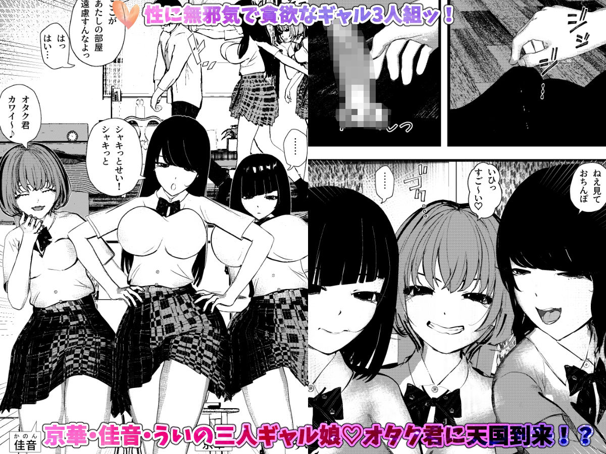 ギャル＆田舎美少女＆サキュバス・ハーレム10作品コンプリートパック