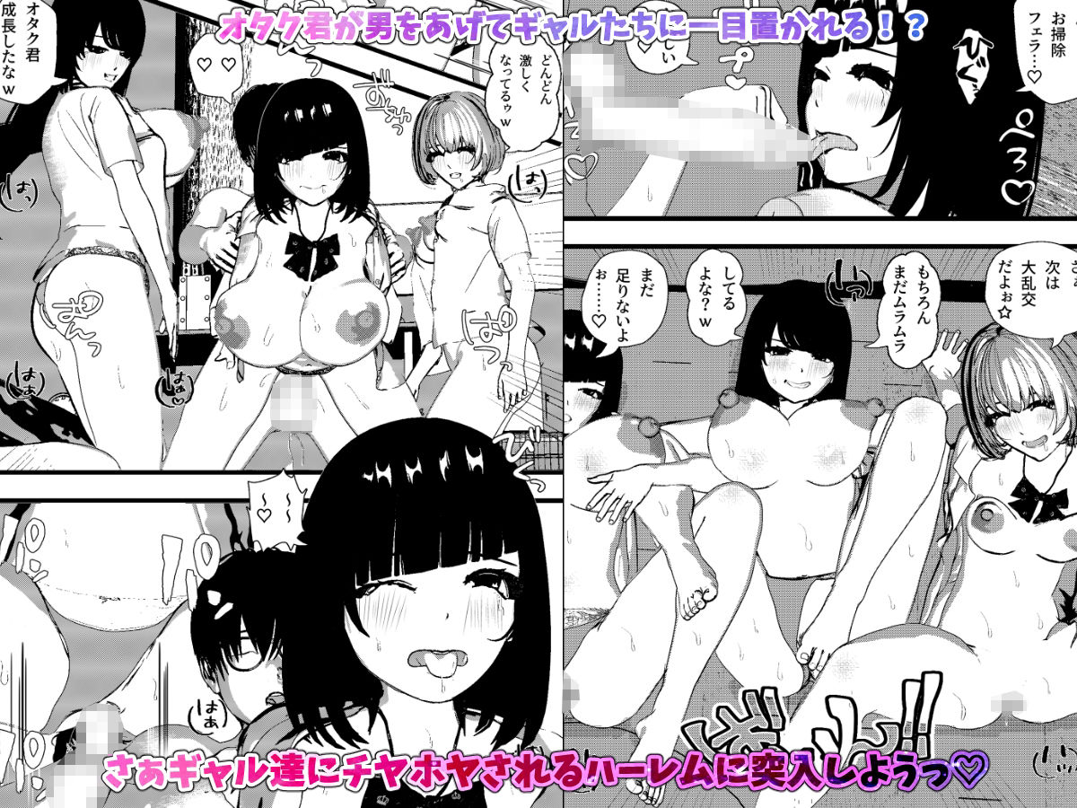 ギャル＆田舎美少女＆サキュバス・ハーレム10作品コンプリートパック