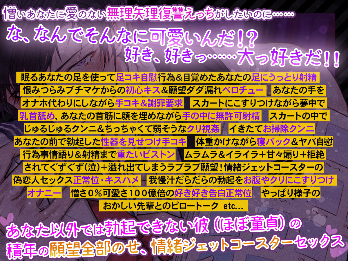 【光堕ち確定】「オナホがそんな可愛い顔をするな！」〜あなた以外じゃ勃たなくなった！？プライド激高エリート男との再会復讐溺愛ダダ漏れ強○えっち〜