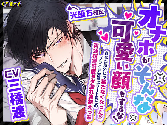【光堕ち確定】「オナホがそんな可愛い顔をするな！」〜あなた以外じゃ勃たなくなった！？プライド激高エリート男との再会復讐溺愛ダダ漏れ強○えっち〜