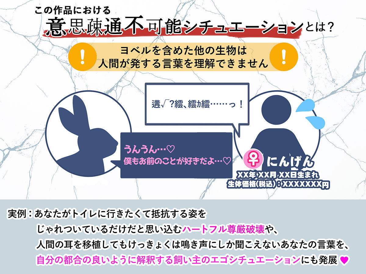 【意思疎通不可能？】迷子のヒトを探しています【人間=ペットの世界で‘元’飼い主のオスウサギが行方不明だったあなたを保護しました】