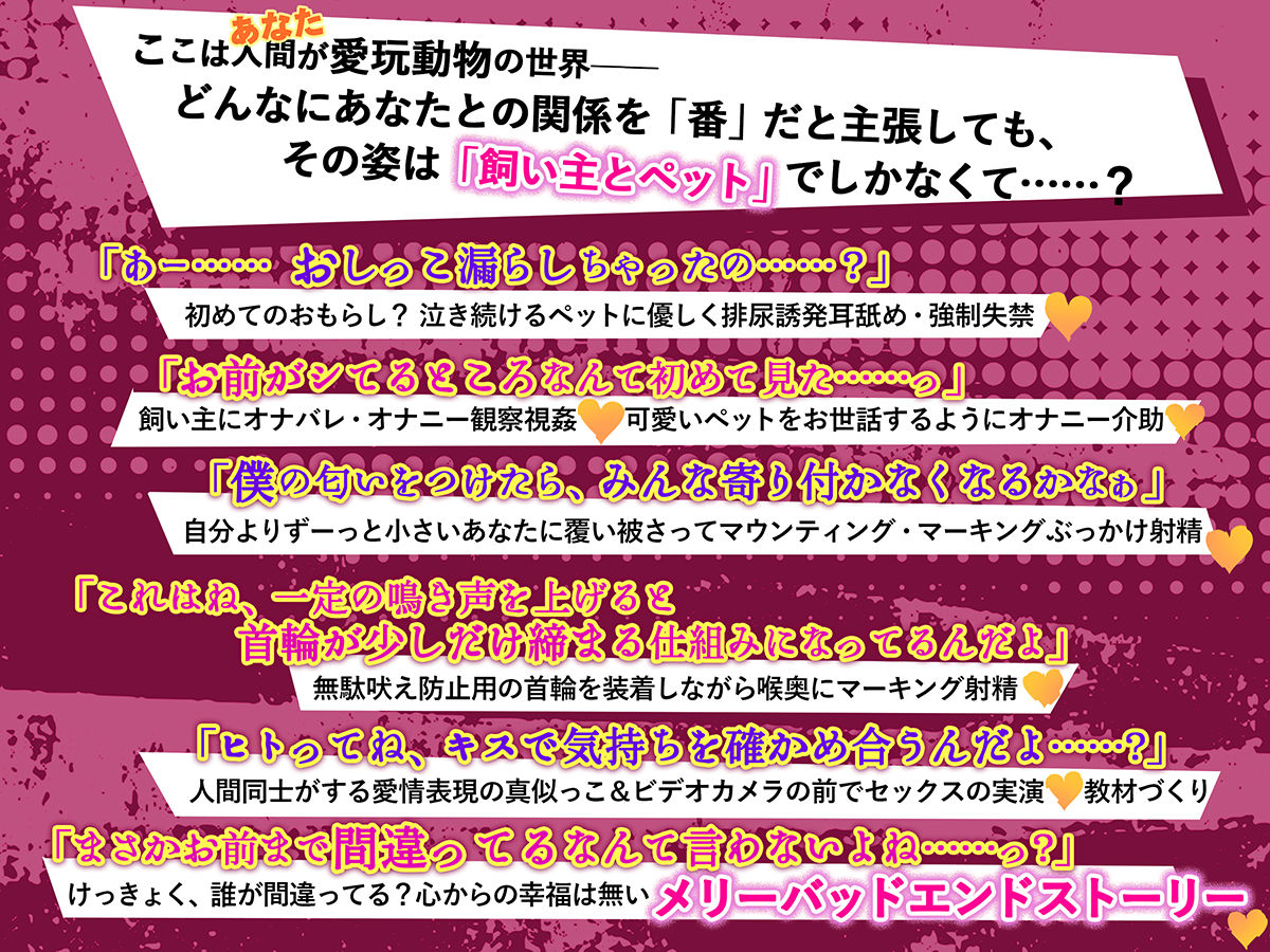 【意思疎通不可能？】迷子のヒトを探しています【人間=ペットの世界で‘元’飼い主のオスウサギが行方不明だったあなたを保護しました】