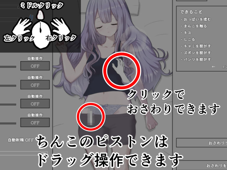 いとこのお姉ちゃんに睡眠●シミュレーション