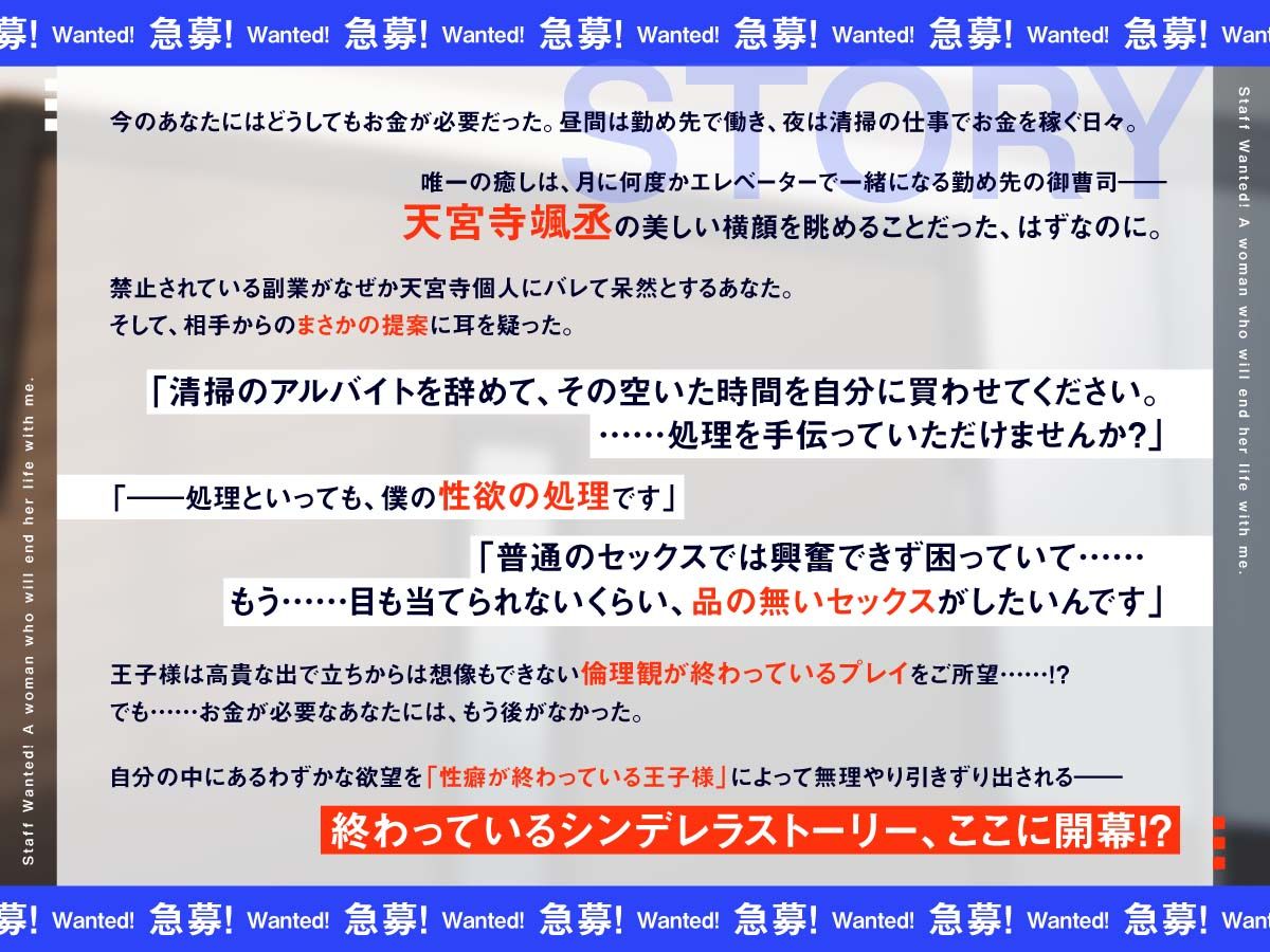 【急募】 僕と一緒に人生終わってくれるオンナ 〜お金はいくらでも出すから倫欠プレイに付き合って〜