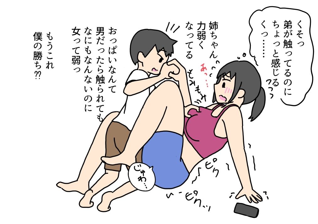 姉弟ケンカ中にハプニングで弟のチンチンが入っちゃう話