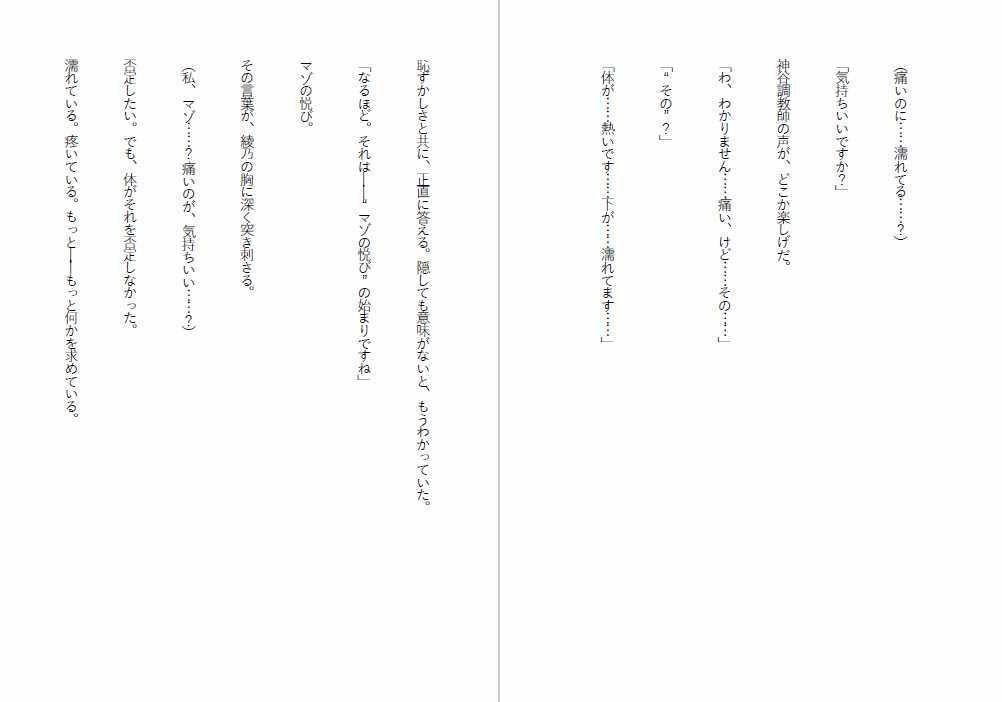 肉便器法〜Sランク肉便器になるまで〜