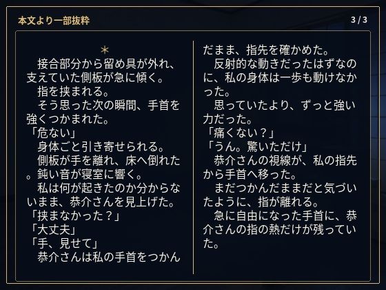 物静かで優しい義兄は、一線を越えたら私を貪って離さない男でした ―亡き姉の夫への十二年の片想い―