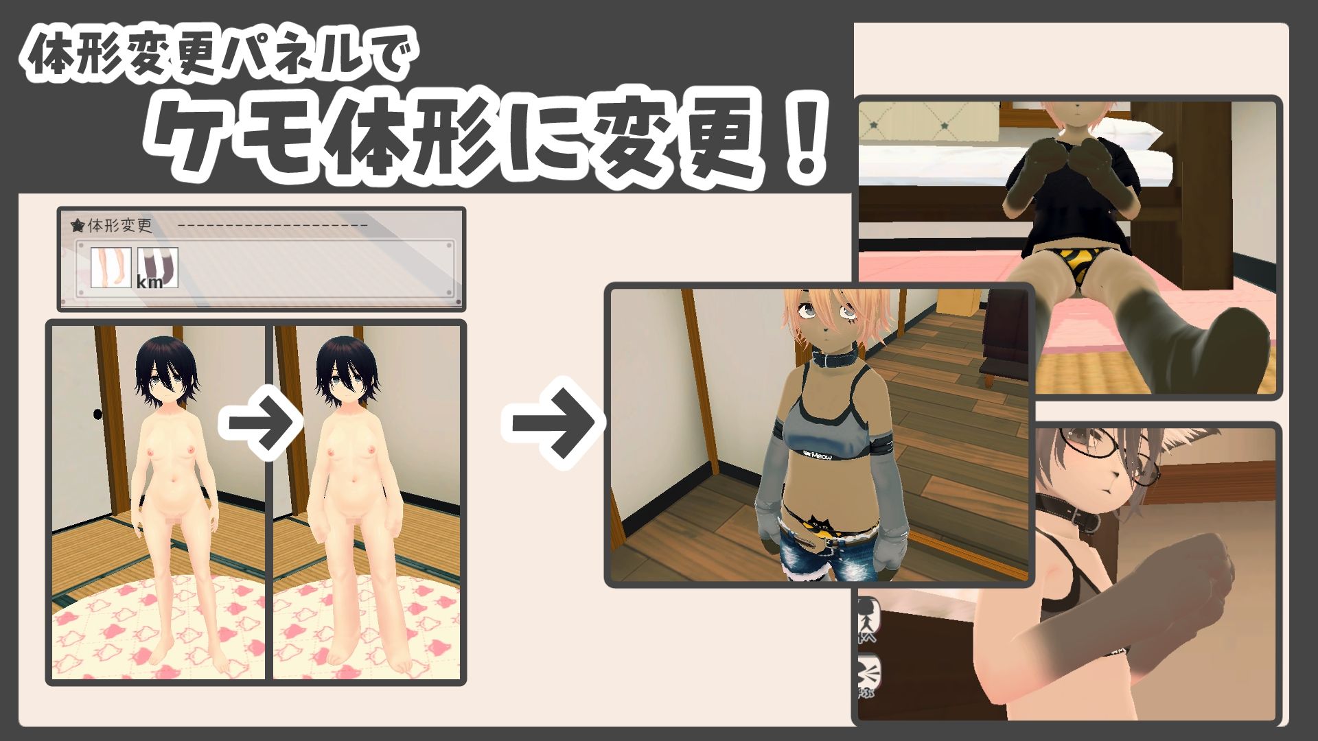 新生活は妹ちゃんと！ ★機能追加DLC ケモ★