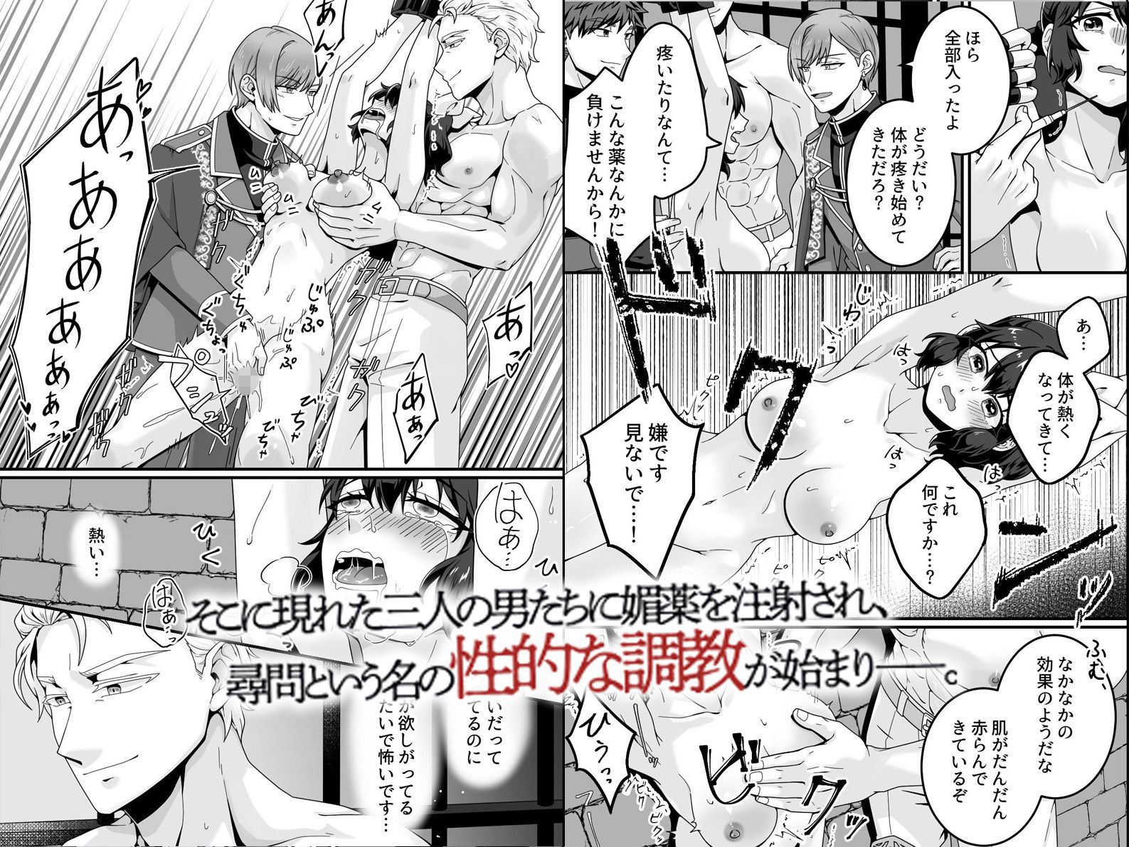 敗北女冒険者ミアの監禁調教録〜捕らえられた処女冒険者が三人の男に貫かれ快楽の虜に堕ちる逆ハーレム〜