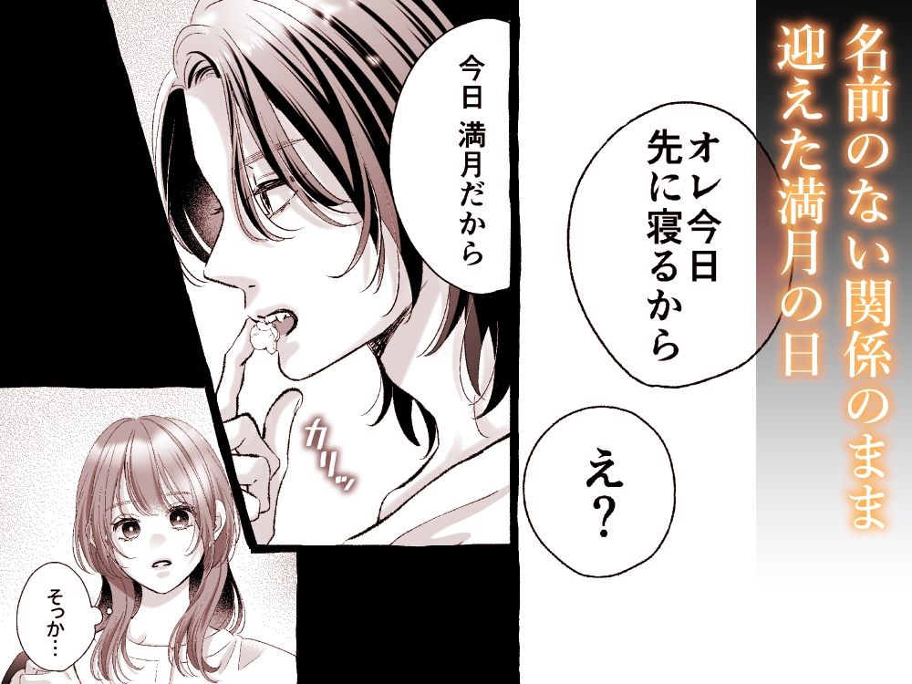 あの日拾った吸血鬼に抱き潰される話