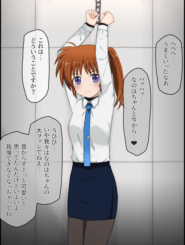 変態局員共に襲われちゃうなのはさんの話