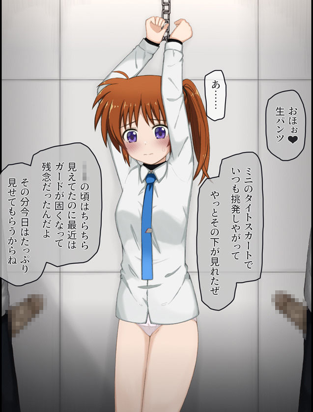 変態局員共に襲われちゃうなのはさんの話