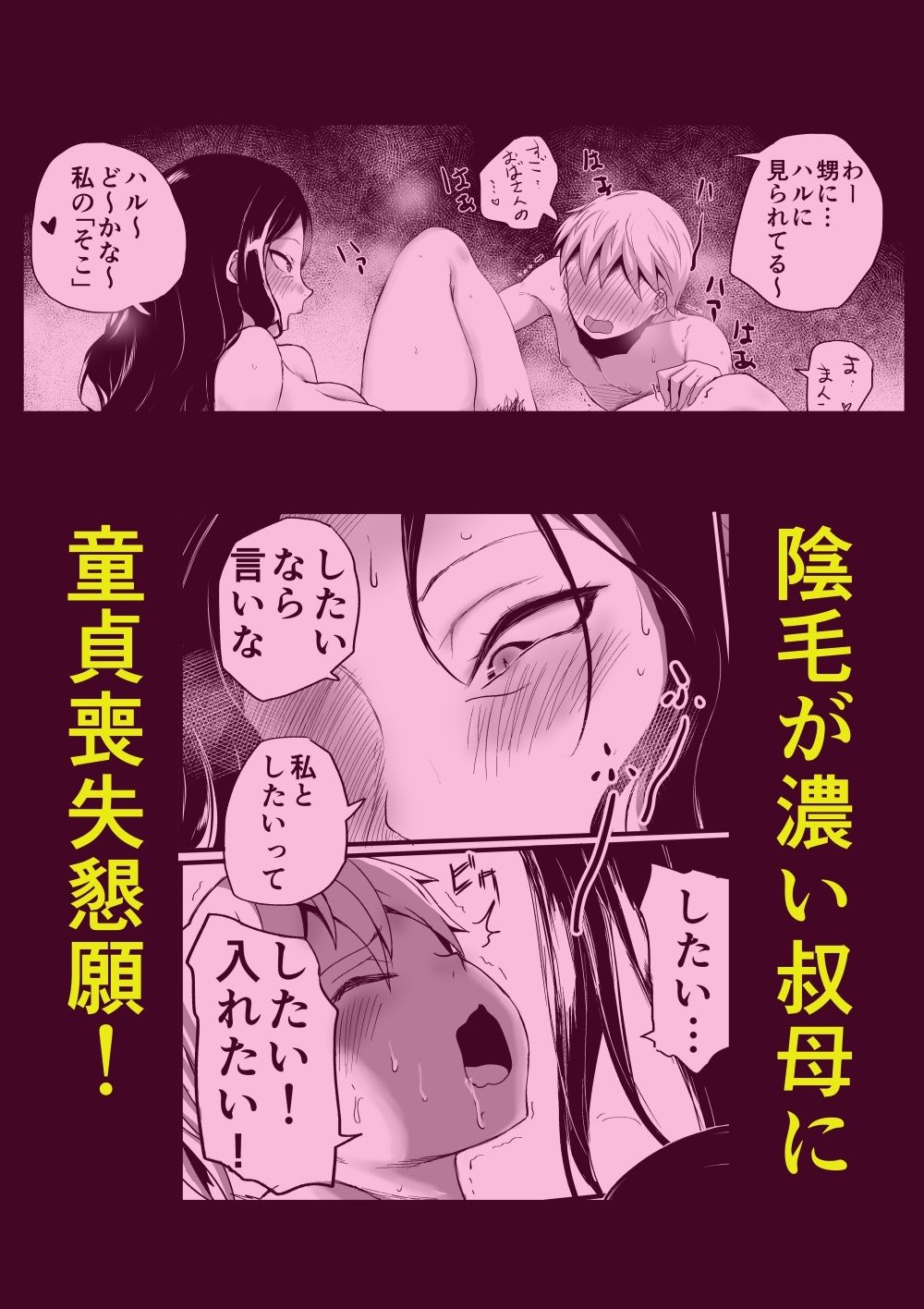 僕の叔母さん