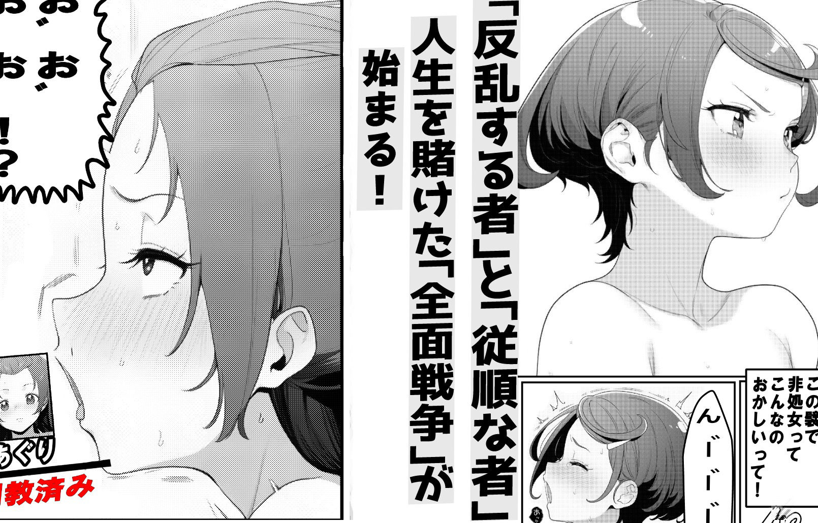 【悲報】俺氏、プ〇キュアの世界に現実逃避して、都合のいい孕ませ大乱交ハーレムを築いた話