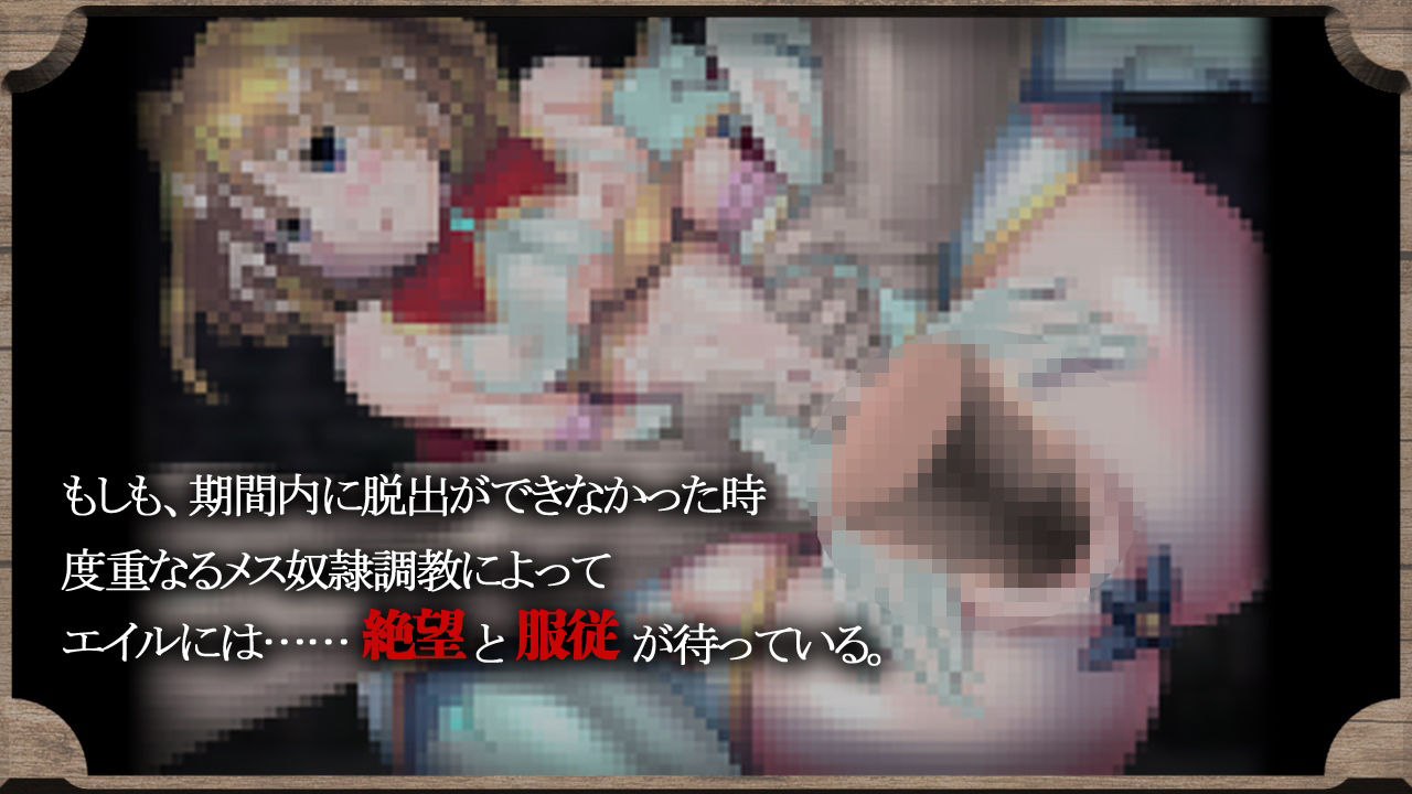 姫騎士エイルの調教脱出