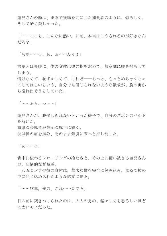 背徳の義兄弟〜両親不在の夜、完璧な義兄様に壊される〜