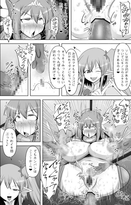 煌盾戦姫エルセイン 堕肉嘲罰&intermission