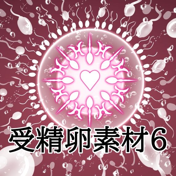 受精卵素材6