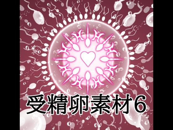 受精卵素材6