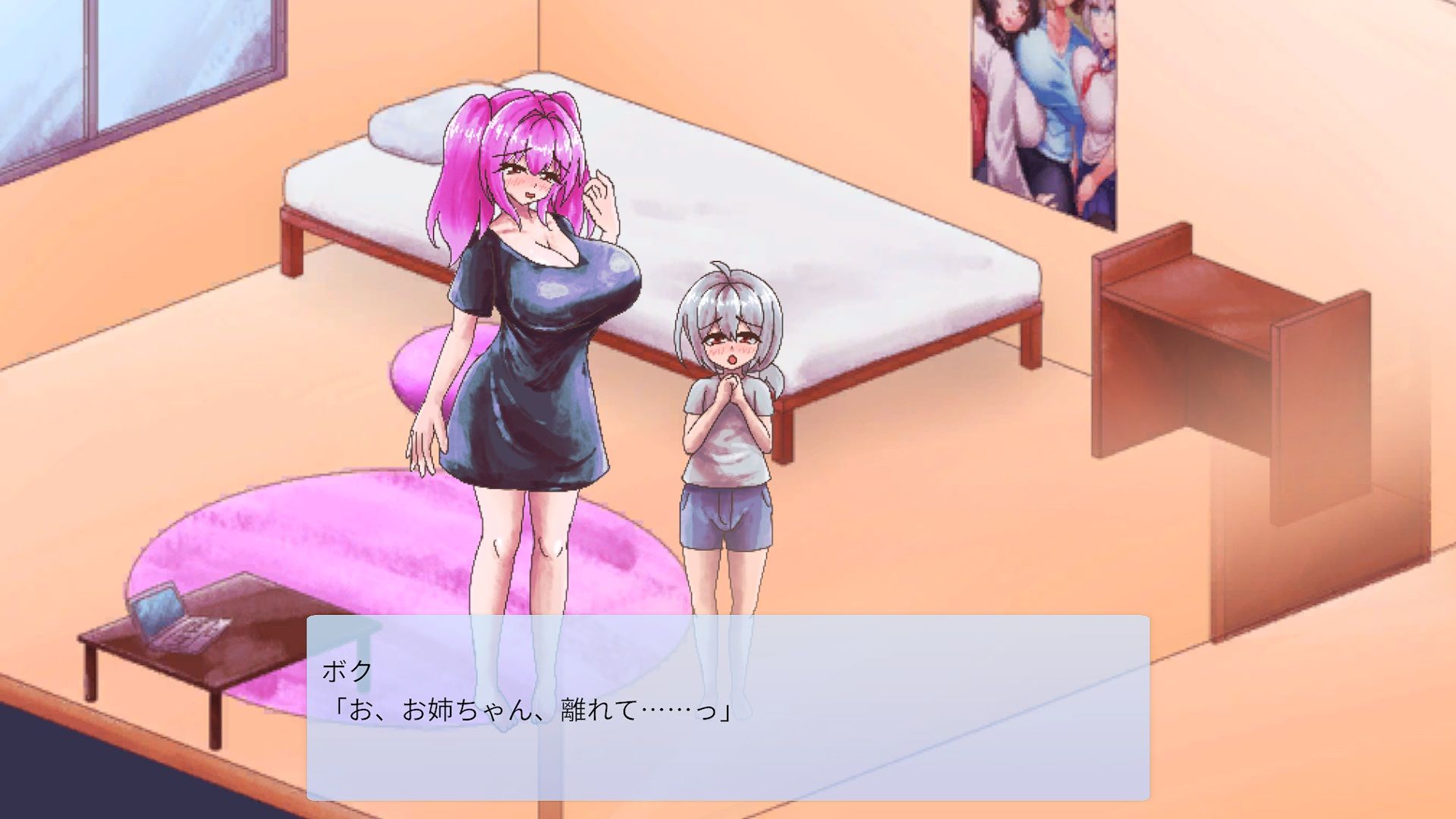 お姉ちゃんたちと過ごすボクの毎日