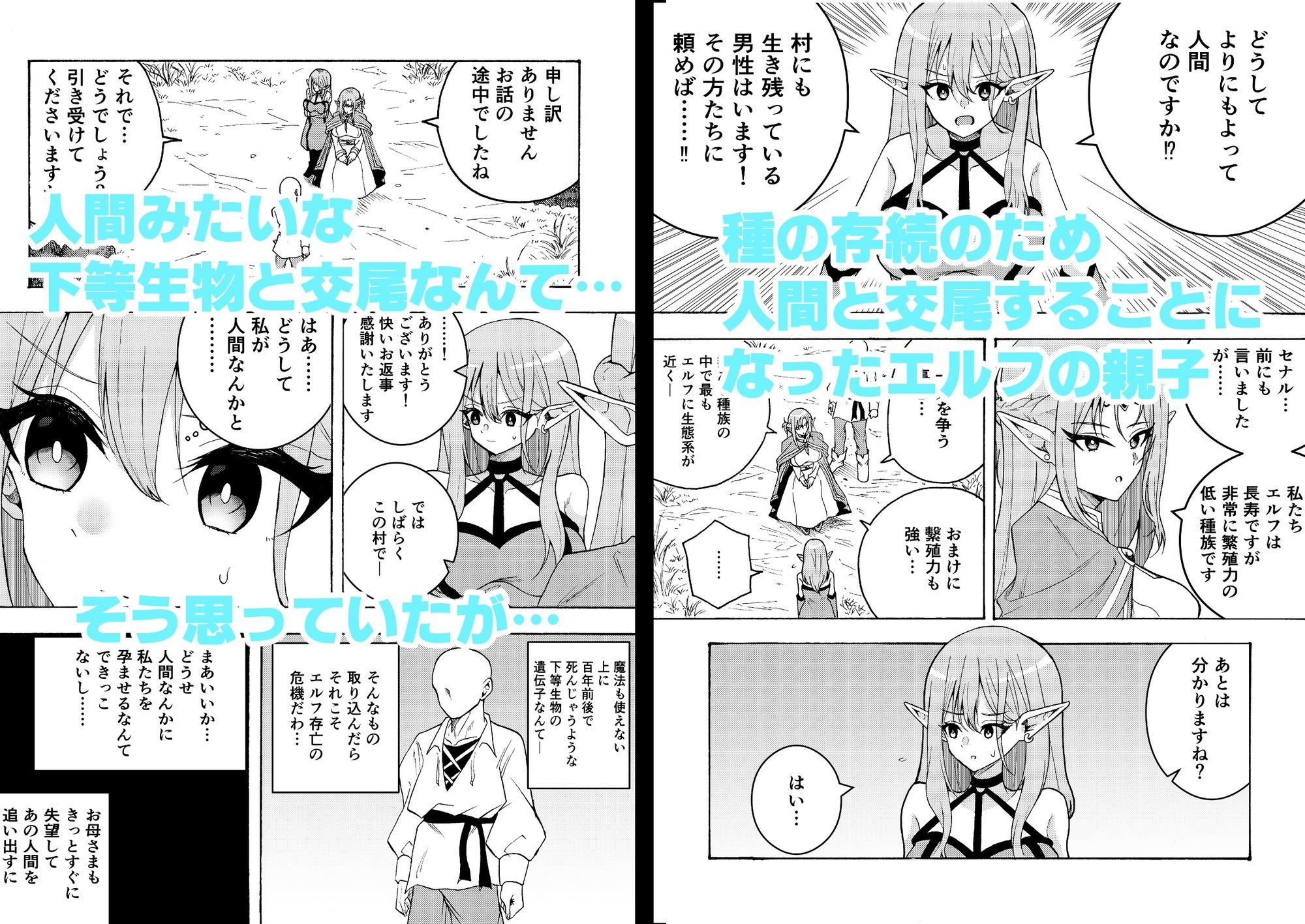 人間を見下すエルフ母娘を人間ち〇ぽで孕ませるまで。