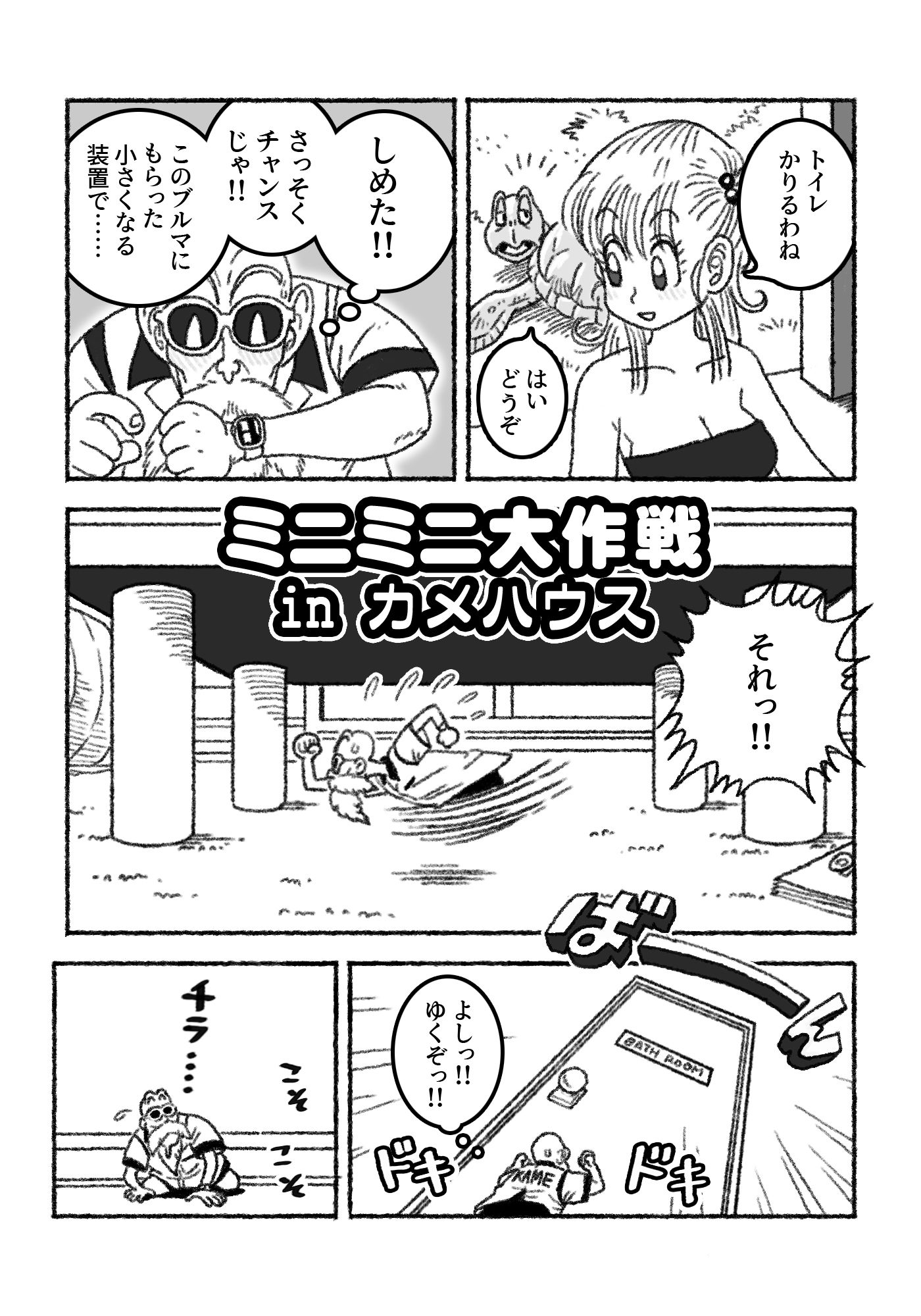 ミニミニ大作戦 in カメハウス
