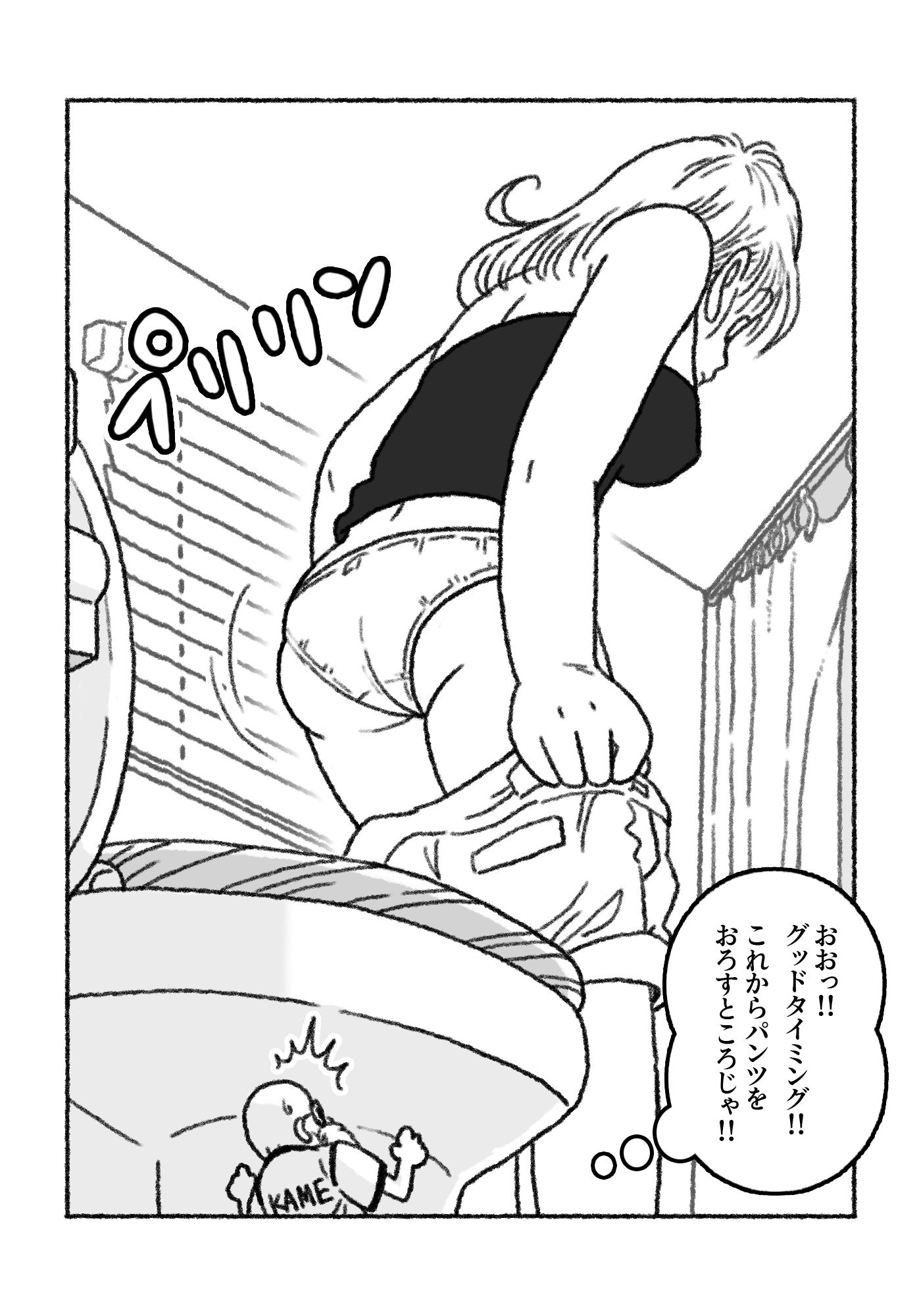 ミニミニ大作戦 in カメハウス