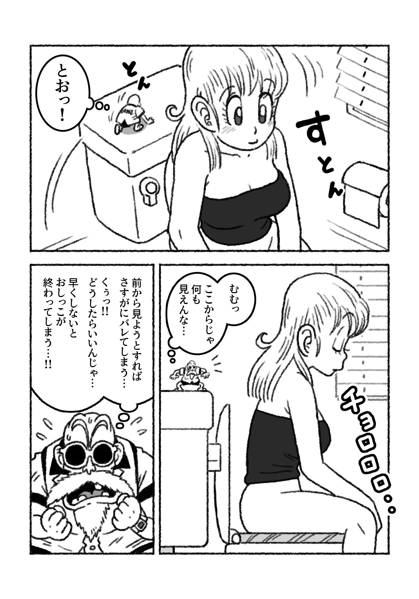 ミニミニ大作戦 in カメハウス