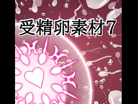 受精卵素材7