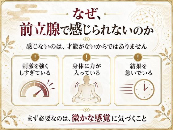 前立腺マッサージ器 挿れるだけでは気持ちよくなれない 乳首と前立腺を結びメスイキできる身体へ導く 究極快楽メスイキを発動させるための「乳首と前立腺快楽の繋げ方」