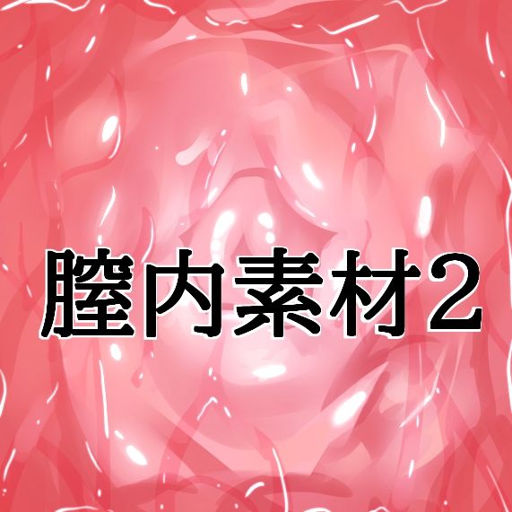 膣内素材2
