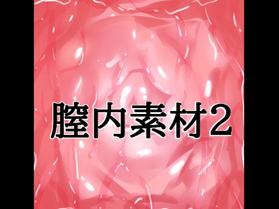膣内素材2