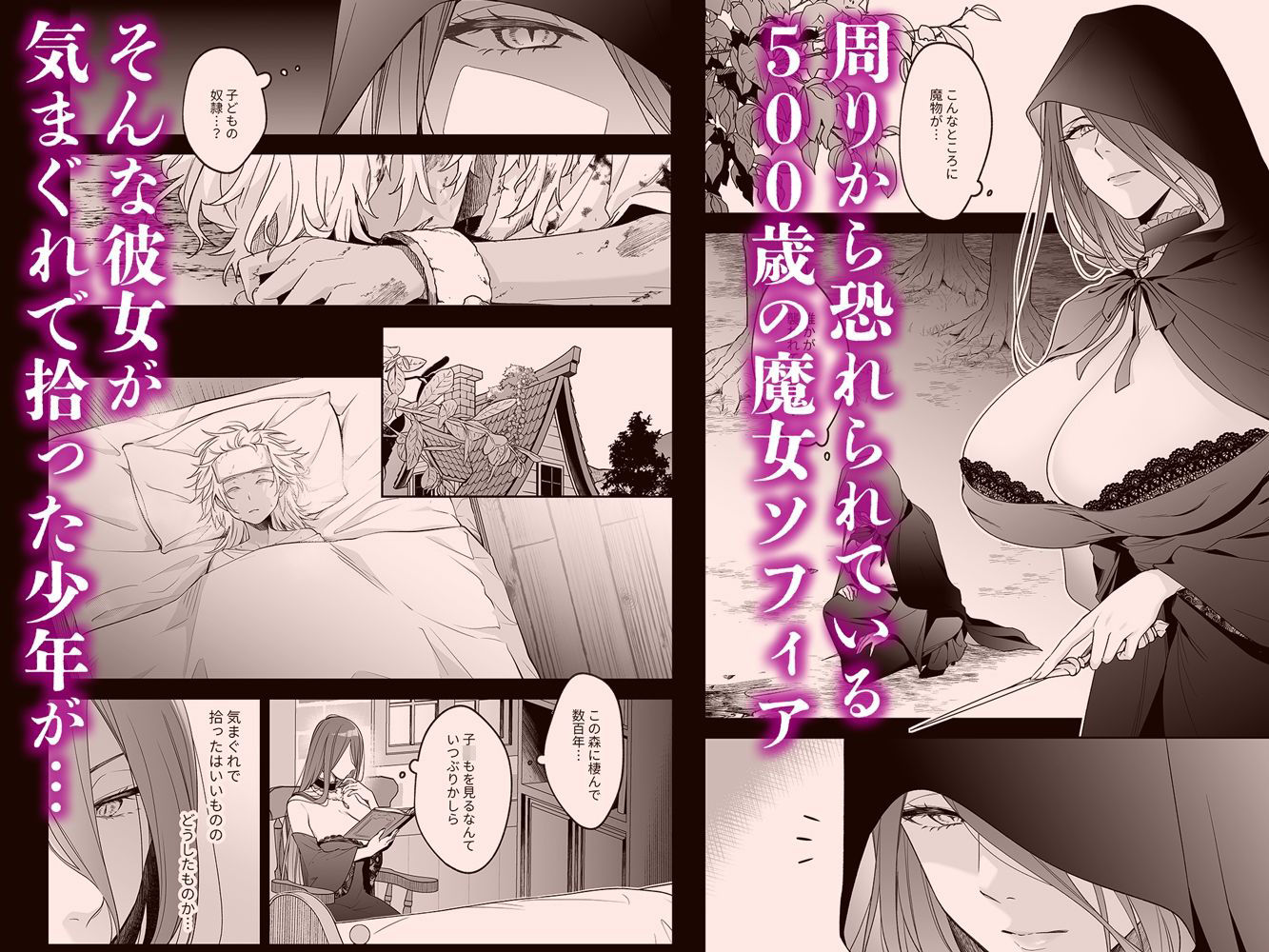 捨てられた少年が500歳の魔女に筆おろししてもらうお話