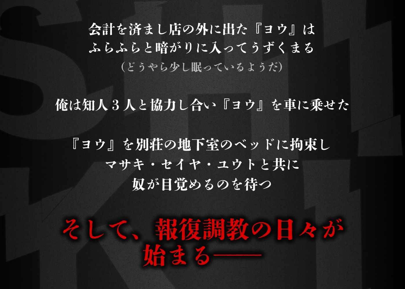 【モブ総勢38人！全員ボイスあり】最強モブレ作品ダブルパック【シキ・ライト】