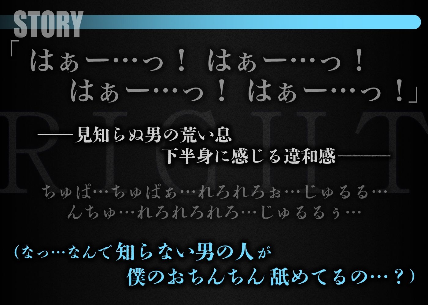 【モブ総勢38人！全員ボイスあり】最強モブレ作品ダブルパック【シキ・ライト】
