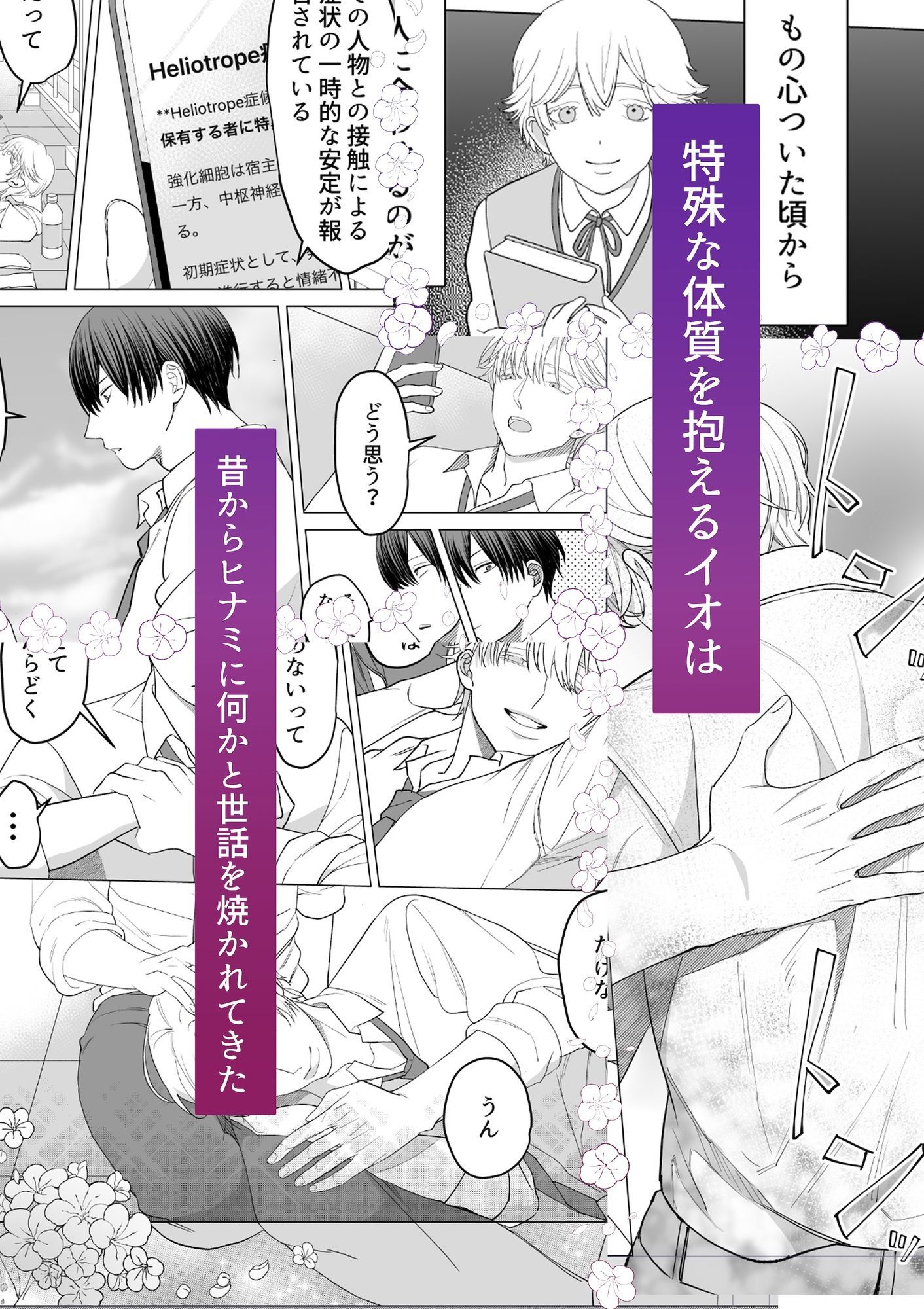 ヘリオトロープは夜に
