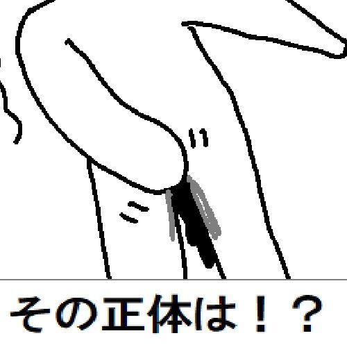 粘土人間のすべて