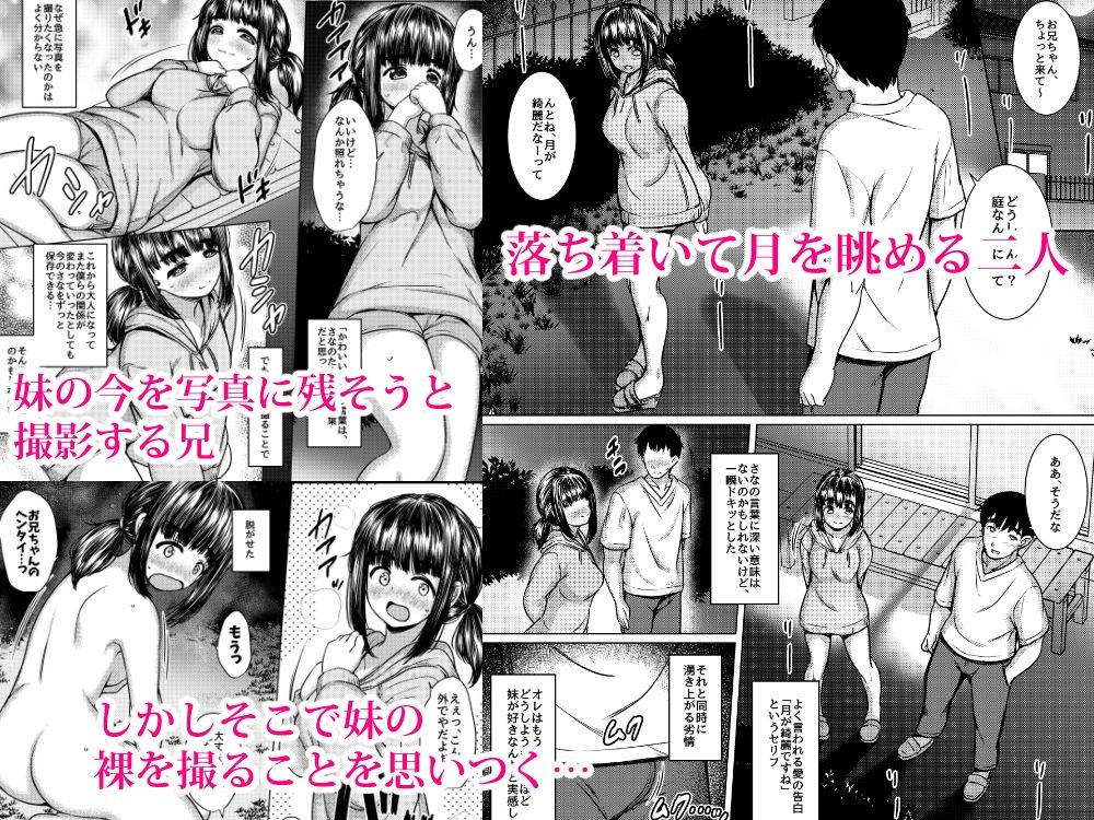 兄妹が終わる時2 〜性に目覚めた妹がメスの悦びに墜ちるまで〜