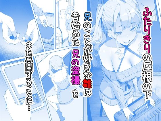 見守りカメラでお兄を視てたらあたしも視られてた話