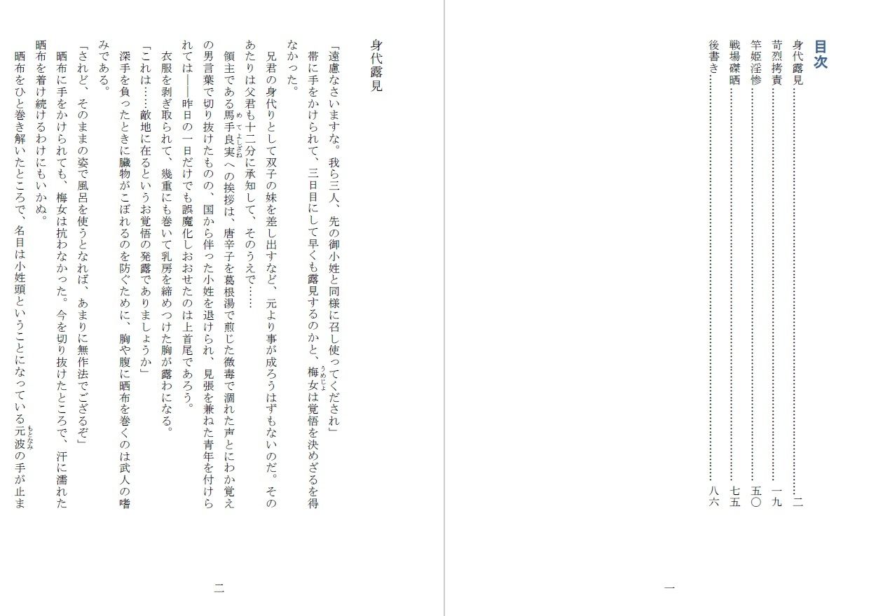 竿姫戦場磔:陰門篇