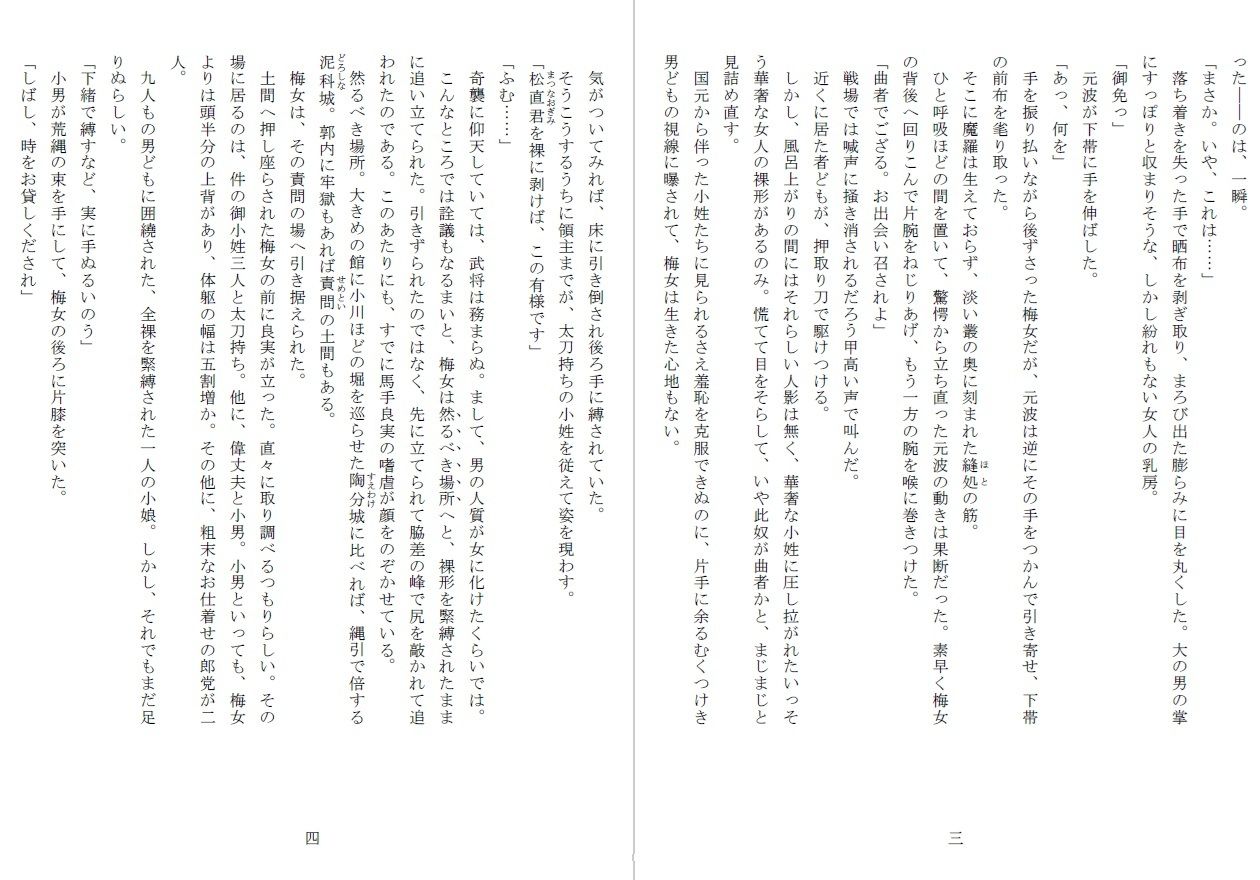 竿姫戦場磔:陰門篇