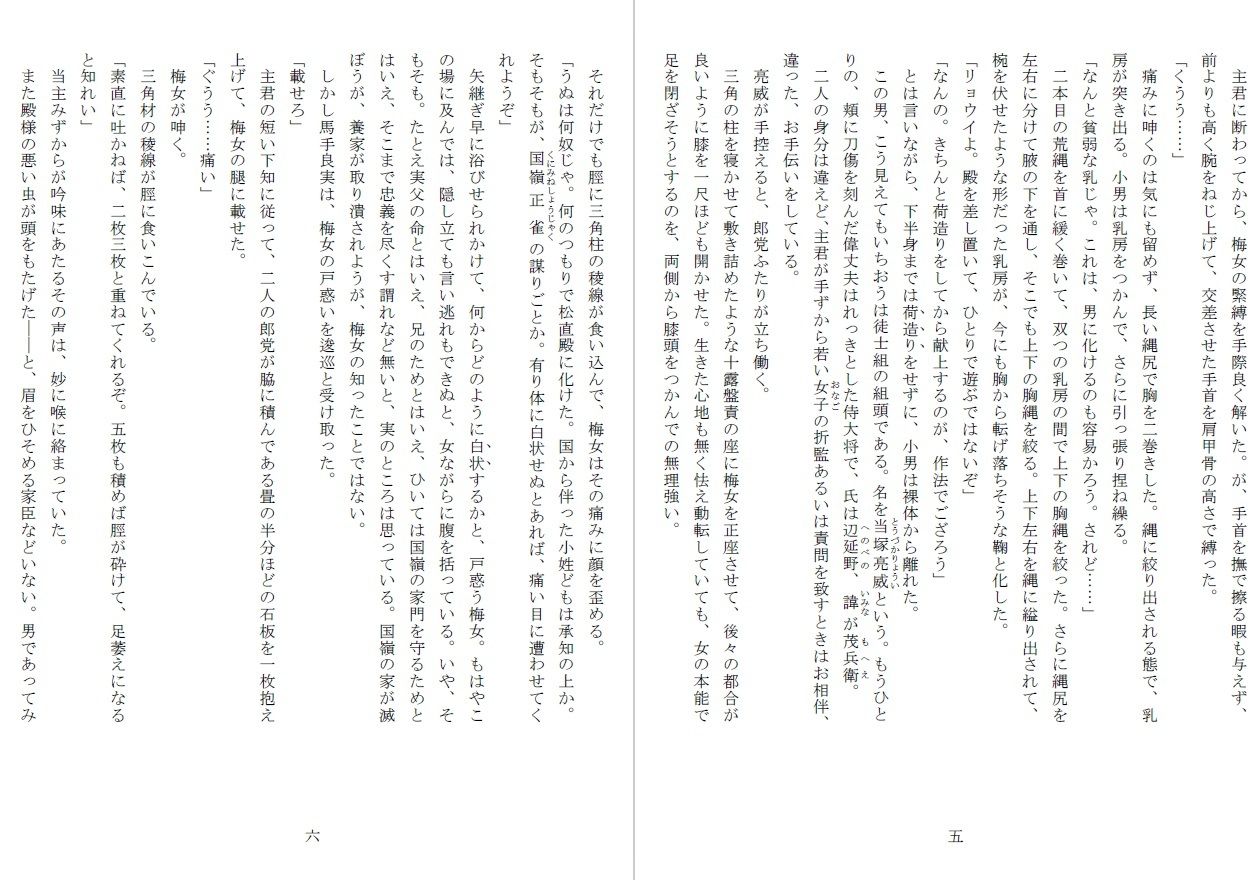 竿姫戦場磔:陰門篇
