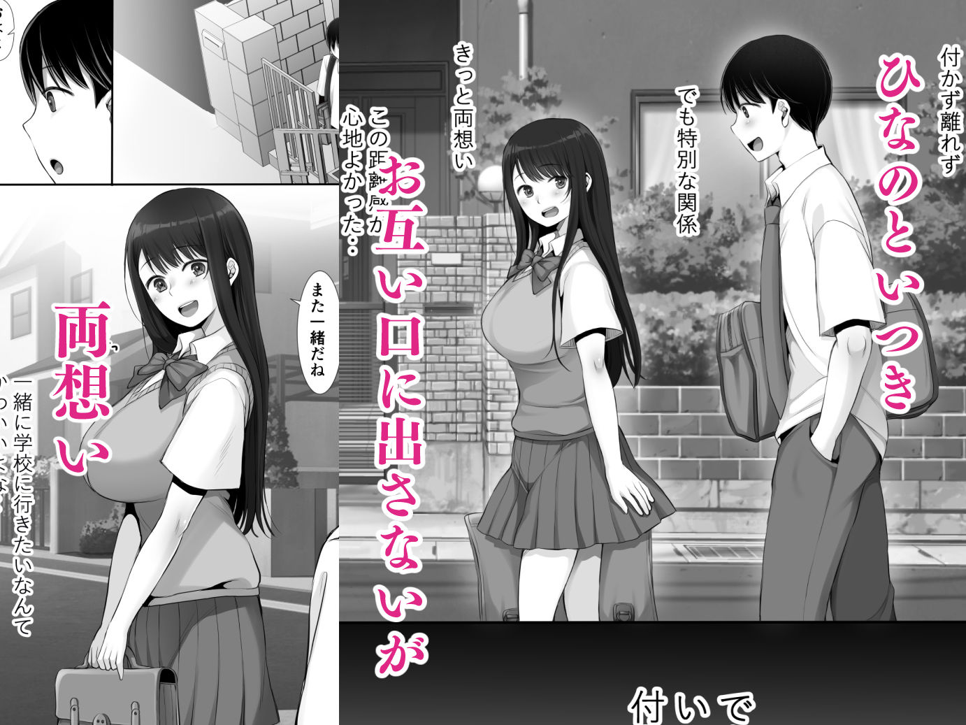 両想いだった幼馴染姉妹がホームステイ中の留学生にオナホ代わりにされてSEX大好き中イキメスにされてた話Reboot