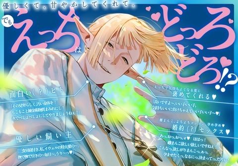 九つの魂をただひたすら、貴方の為だけに （前編）