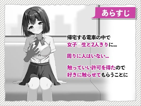 快感痴◯おさわり電車
